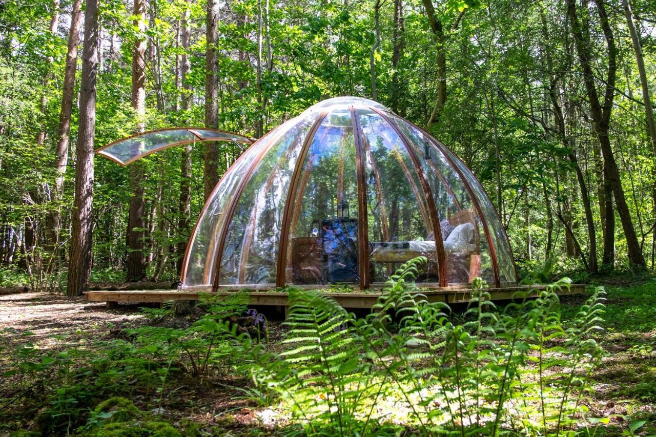 ホテル Camp Katur Glamping Carthorpe エクステリア 写真