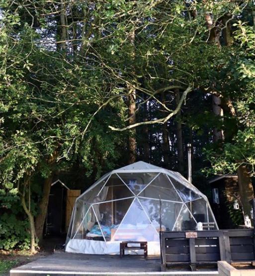 ホテル Camp Katur Glamping Carthorpe 部屋 写真